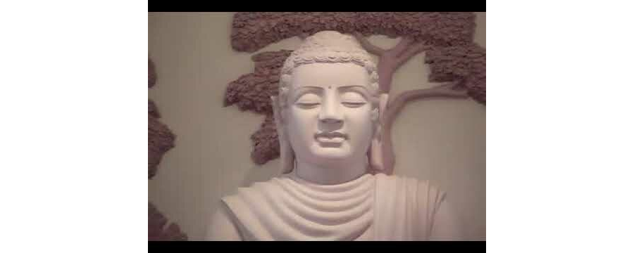 Hương vị của đất - ĐĐ. Thích Pháp Hòa