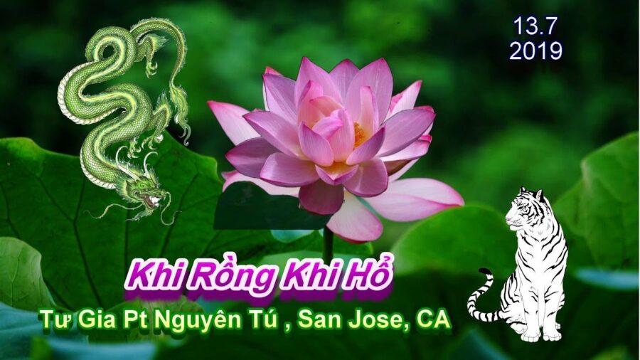 Khi Rồng Khi Hổ - Thầy Thích Pháp Hòa