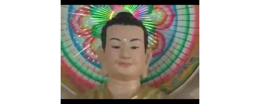 Không Dễ Duôi – Thầy Thích Bửu Chánh