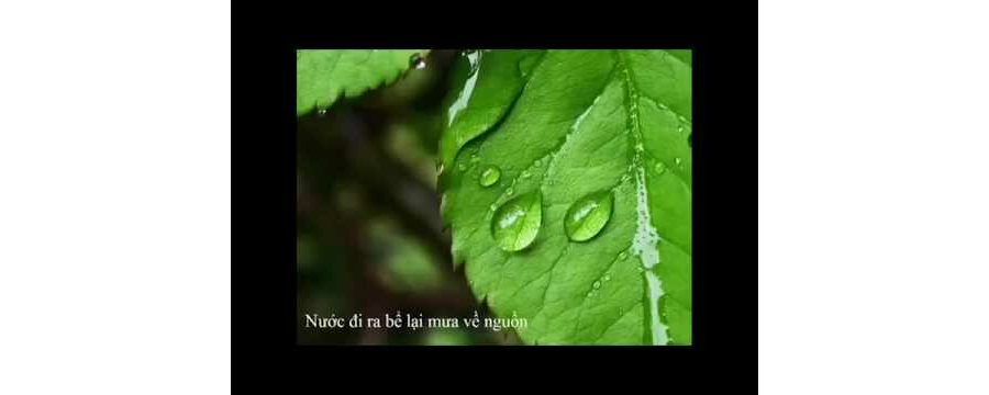 Không Sanh Cũng Không Diệt – Thích Minh Niệm