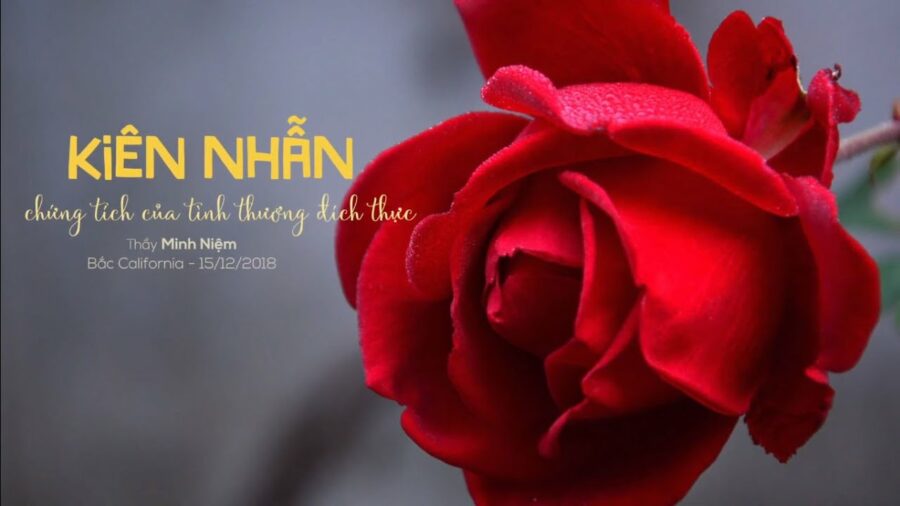 Kiên Nhẫn – Chứng tích của tình thương đích thực - Đại Đức Thích Minh Niệm