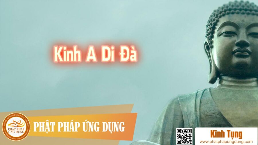 Tụng Kinh A Di Đà – Kinh tụng Thầy Thích Chiếu Túc