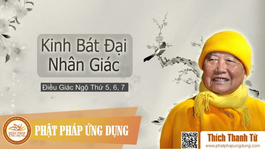 Kinh Bát Đại Nhân Giác 3 – Điều Giác Ngộ Thứ 5, 6, 7 – Thiền Sư Thích Thanh Từ