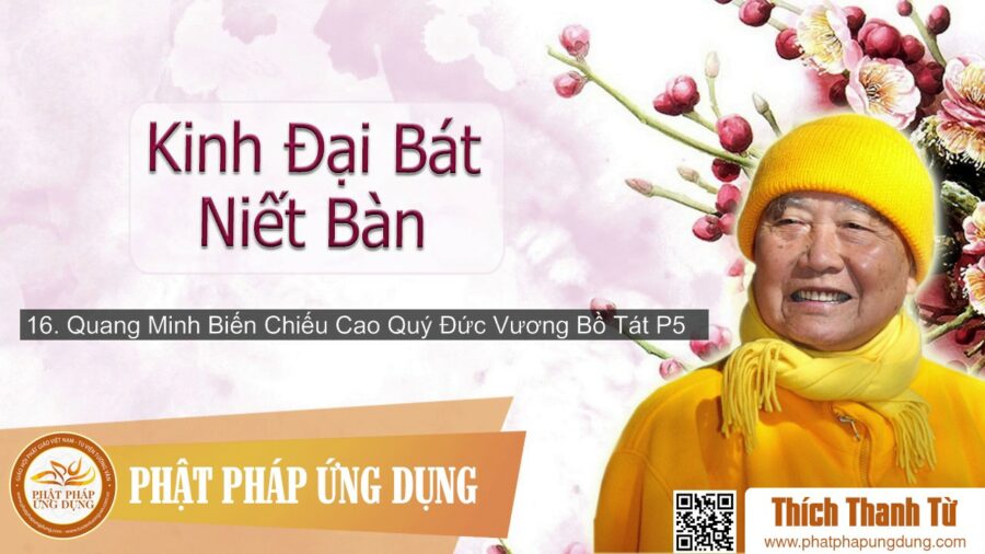 Kinh Đại Bát Niết Bàn 16 – Quang Minh Biến Chiếu Cao Quý Đức Vương Bồ Tát Phần 5 – Thích Thanh Từ