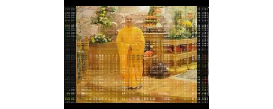 Kinh Đoạn Giảm - ĐĐ. Thích Pháp Hòa