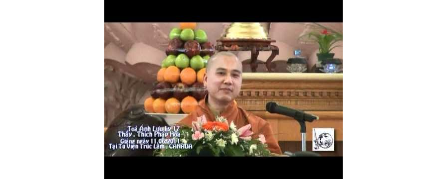 Kinh Dược Sư – Tỏa Ánh Lưu Ly 17 – Đại Đức Thích Pháp Hòa
