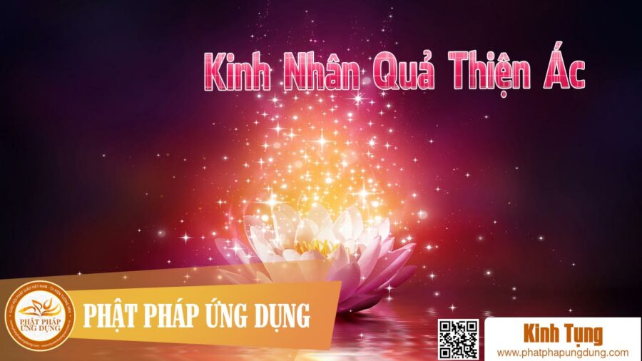 Kinh Nhân Quả Thiện Ác – Thầy Thích Huệ Duyên