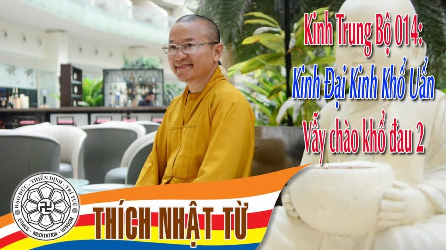 Kinh Trung Bộ 14 (Tiểu Kinh Khổ Uẩn) – Vẫy chào khổ đau 2 – Thích Nhật Từ