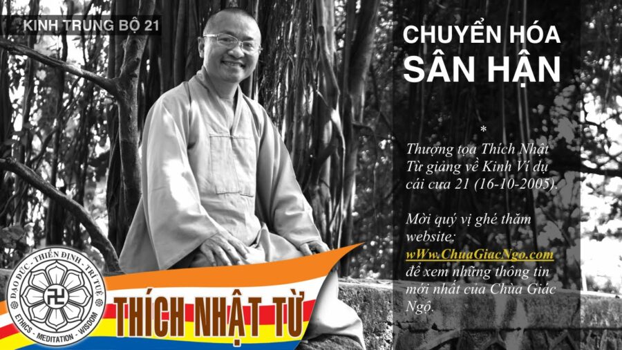 Kinh Trung Bộ 21 (Kinh Ví Dụ Cái Cưa) – Chuyển hóa sân hận – Thích Nhật Từ