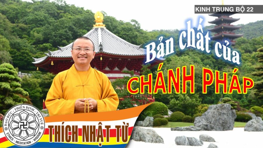 Kinh Trung Bộ 22 (Kinh Ví Dụ Con Rắn) – Bản chất của chánh pháp (06/11/2005) – Thích Nhật Từ
