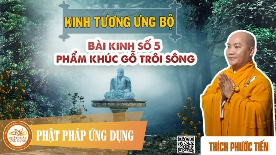 Kinh Tương Ưng Bộ Bài Kinh Số 5 Phẩm Khúc Gỗ Trôi Sông – Thích Phước Tiến