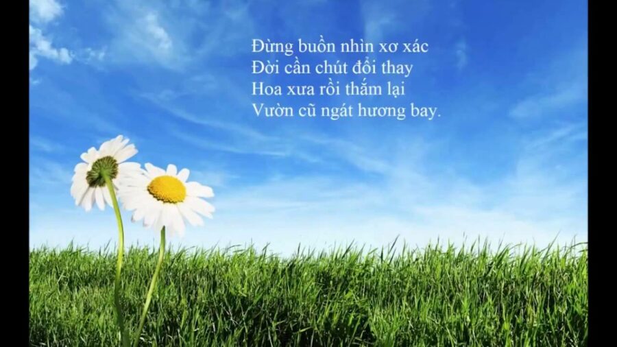 Làm Mới Lại Tình Thương – Thích Minh Niệm