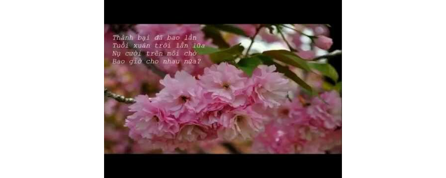 Làm Sao Để Được Bình Yên – Thích Minh Niệm