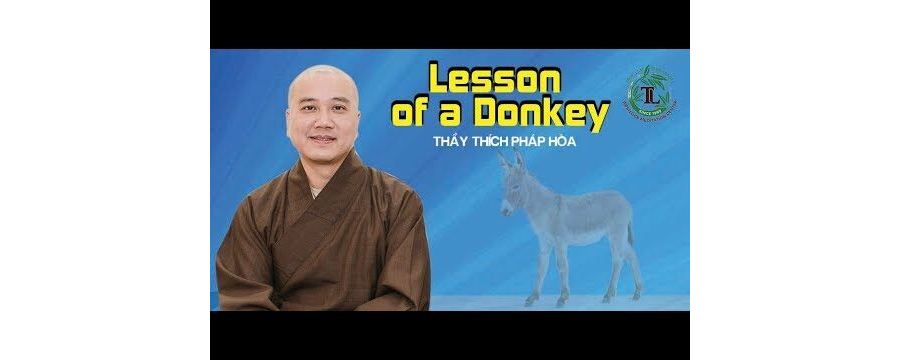 Lesson of a Donkey - ĐĐ. Thích Pháp Hòa