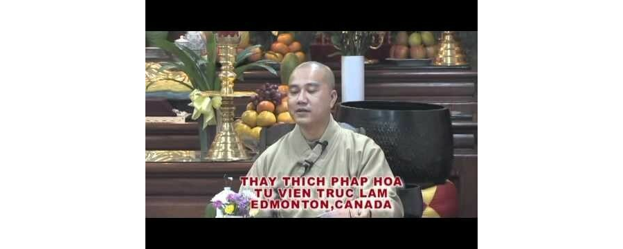 Lòng Từ Vô Ngại 2 – Đại Đức Thích Pháp Hòa