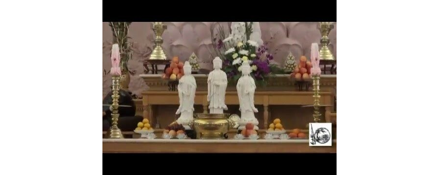 Lòng Từ Vô Ngại 3 – Đại Đức Thích Pháp Hòa