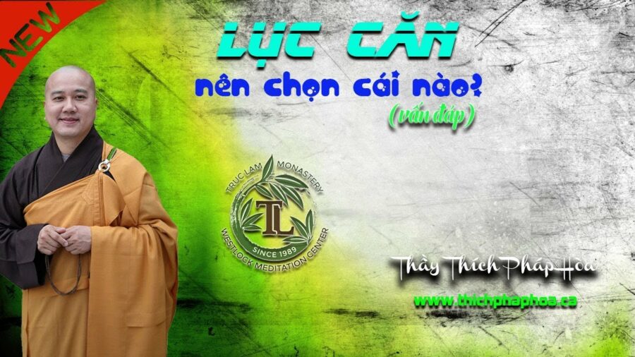 Lục Căn - Nên chọn cái nào? - ĐĐ. Thích Pháp Hòa