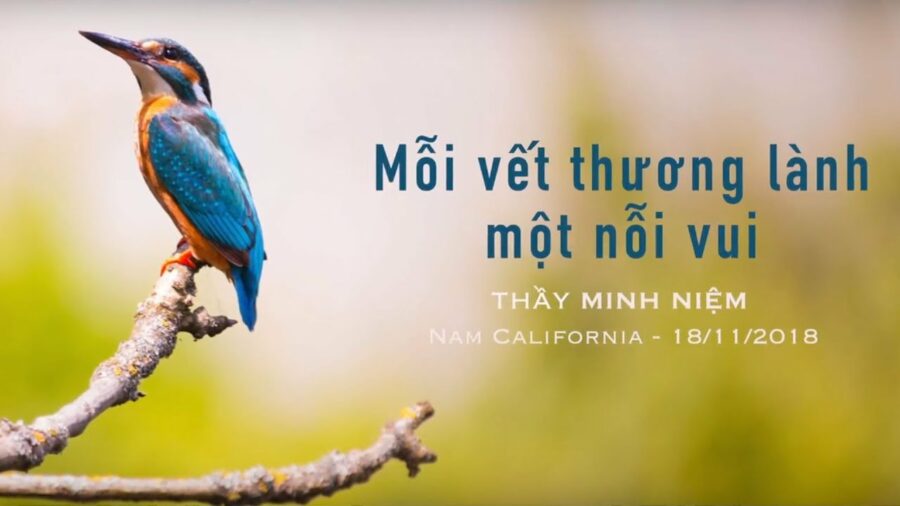 Mỗi vết thương lành một nỗi vui - Đại Đức Thích Minh Niệm