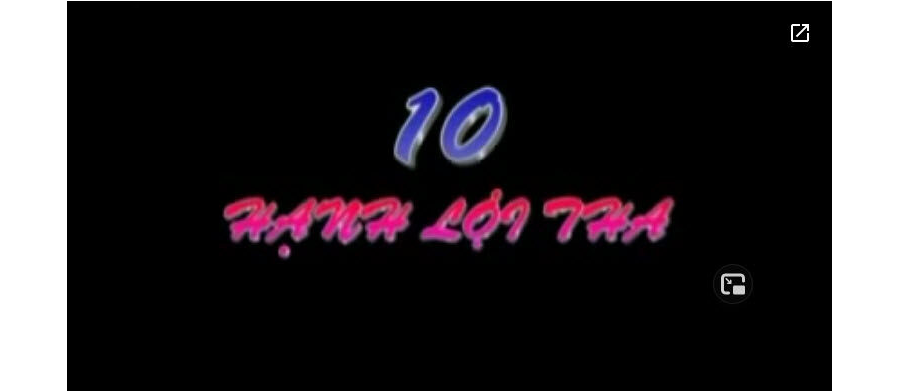 10 Hạnh Lợi Tha - thầy Thích Pháp Hòa