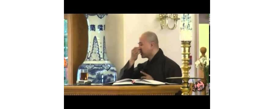 Mười Phương Sen Nở 17 – Đại Đức Thích Pháp Hòa