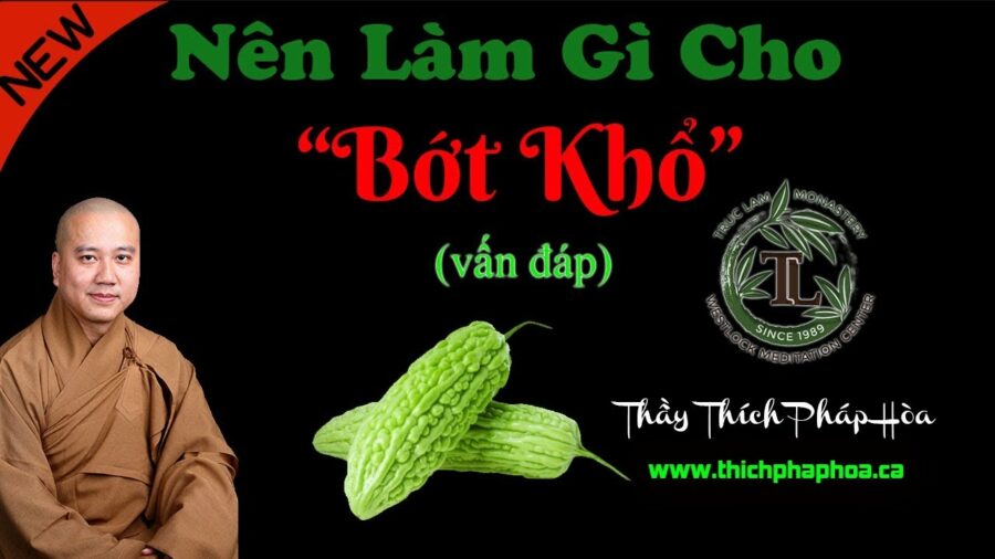 Nên Làm Gì Cho Bớt Khổ? - ĐĐ. Thích Pháp Hòa