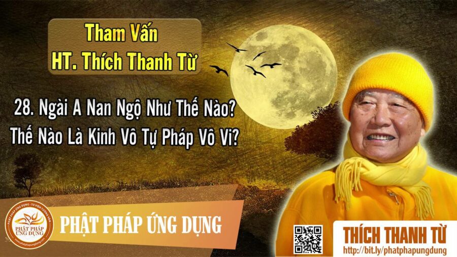 Ngài A Nan Ngộ Như Thế Nào, Thế Nào Là Kinh Vô Tự Pháp Vô Vi – Tham vấn HT Thích Thanh Từ 28