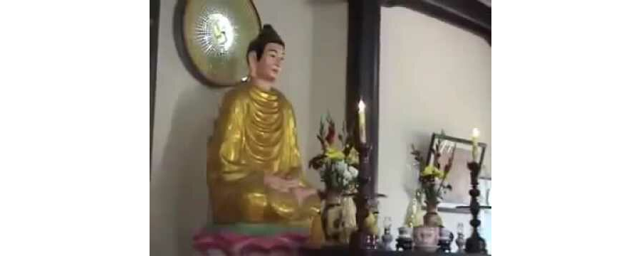 Ngày Dũng – thầy Thích Thái Hòa