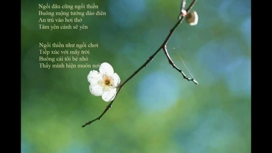 Ngồi Đâu Cũng Ngồi Thiền – Thích Minh Niệm