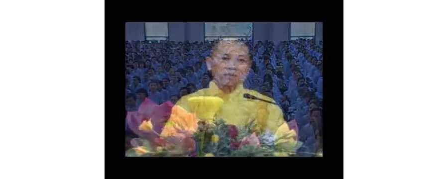 Người Chăn Bò – Thích Chân Tính