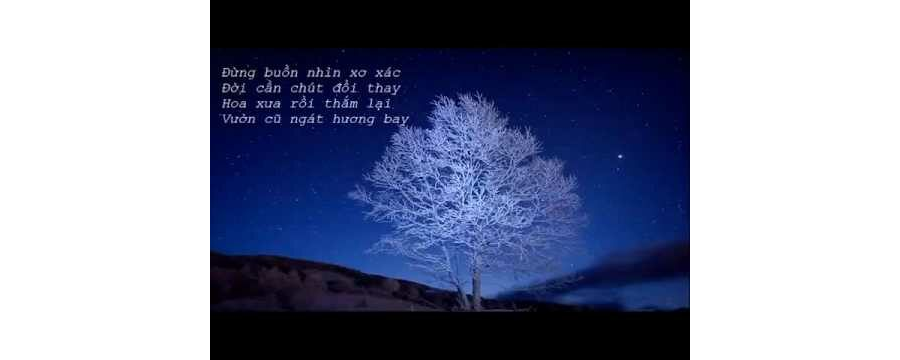 Nguyên Tắc Hay Không Nguyên Tắc – Thích Minh Niệm