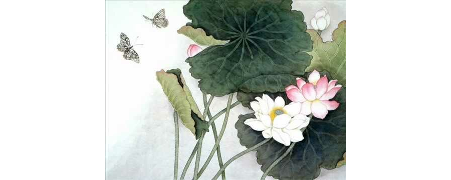 Nhạc thiền Tịnh hải liên tâm