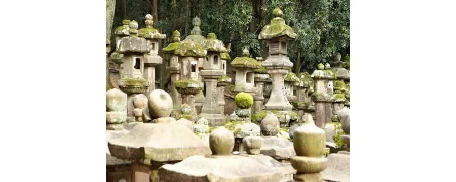 Nhạc Thiền Zen Garden