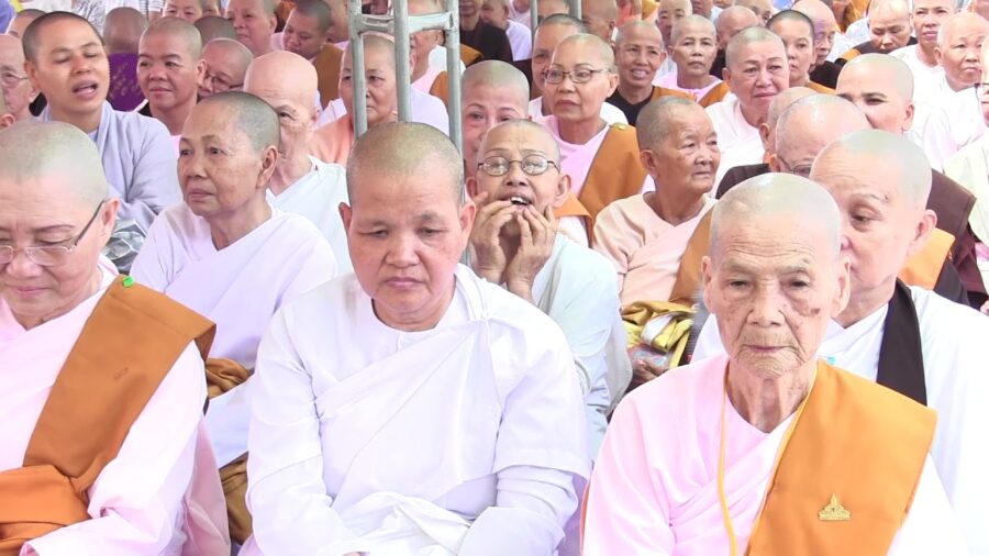 Như bông hoa tươi đẹp – Thượng Tọa Thích Bửu Chánh