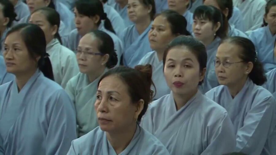 Như Voi Giữa Trận – Thích Chân Tính