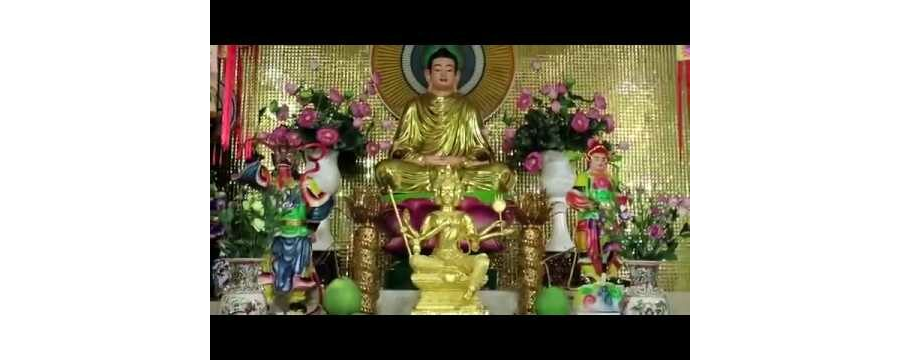 Những đứa con vô tâm - Đại Đức Thích Trí Huệ