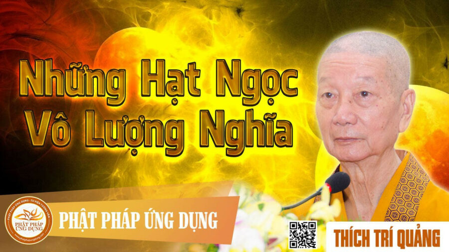 Những Hạt Ngọc Vô Lượng Nghĩa – Thích Trí Quảng