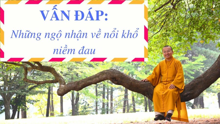 Những ngộ nhận về nổi khổ niềm đau – Thích Nhật Từ