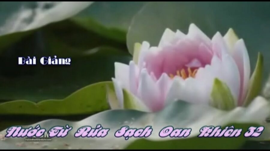 Nước Từ Rửa Sạch Oan Khiên 32 – Đại Đức Thích Pháp Hòa