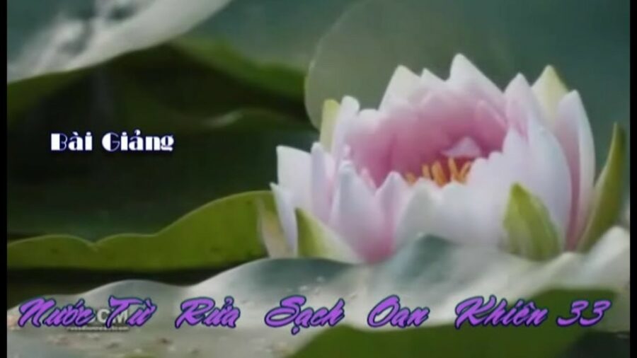 Nước Từ Rửa Sạch Oan Khiên 33 – Đại Đức Thích Pháp Hòa