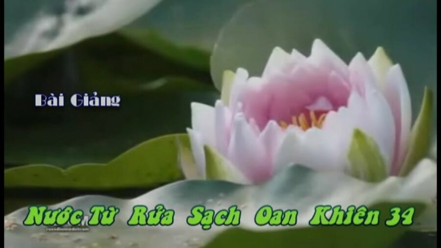 Nước Từ Rửa Sạch Oan Khiên 34 (hết) – Đại Đức Thích Pháp Hòa
