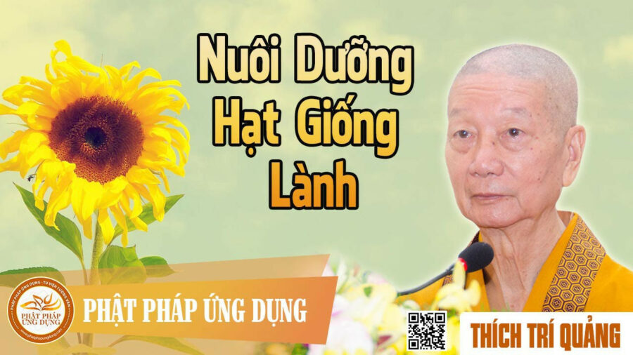 Nuôi Dưỡng Hạt Giống Lành – Thích Trí Quảng