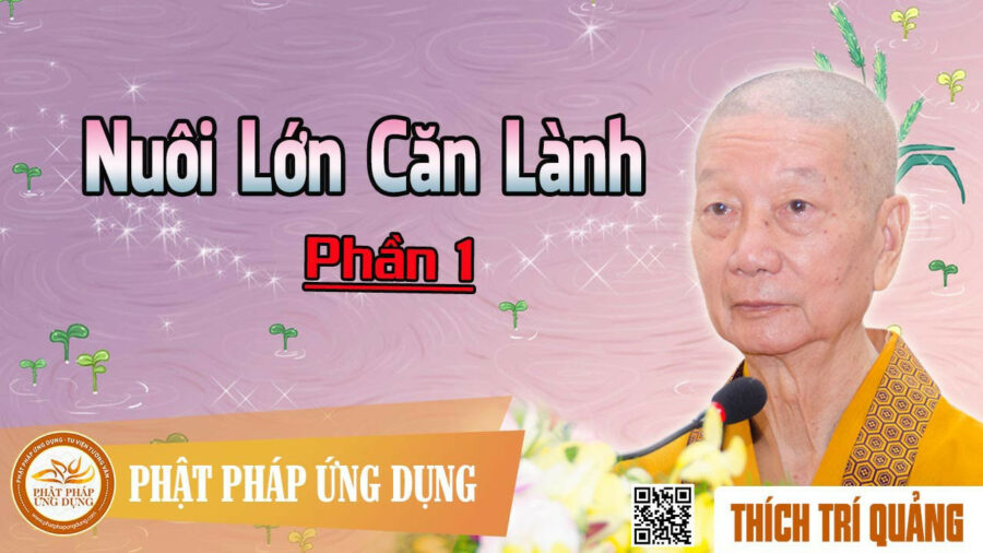 Nuôi Lớn Căn Lành phần 1 – Thích Trí Quảng