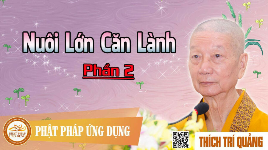 Nuôi Lớn Căn Lành phần 2 – Thích Trí Quảng