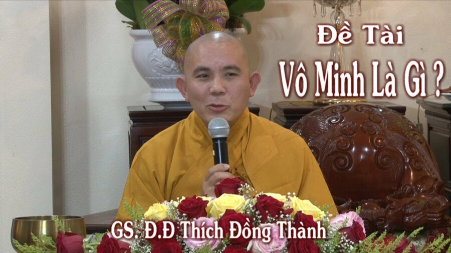 Pháp Thoại Vô Minh là gì – Đại Đức Thích Đồng Thành