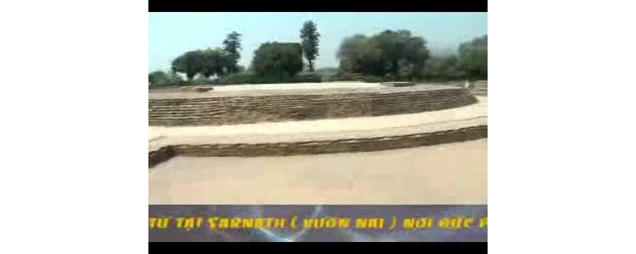Phật tích Ấn Độ 2: 03. Sarnath – Nơi Phật chuyển pháp luân