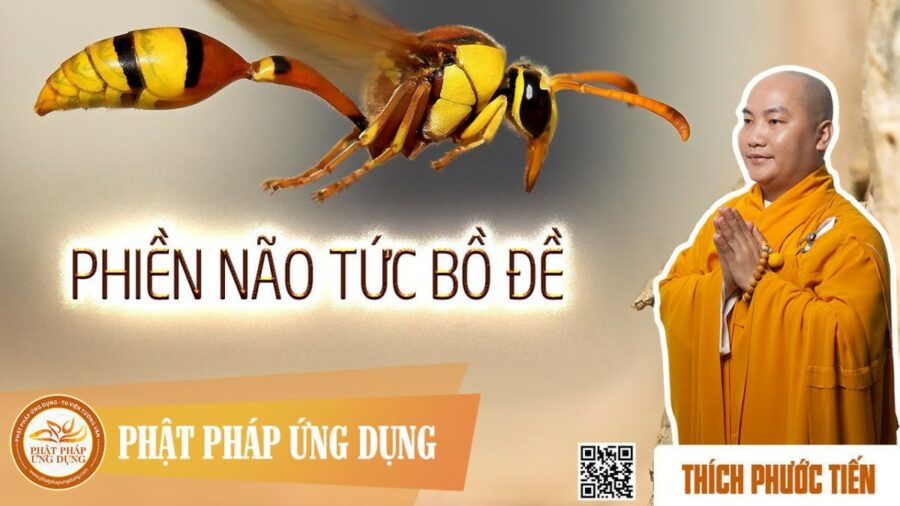 Phiền Não Tức Bồ Đề – thầy Thích Phước Tiến