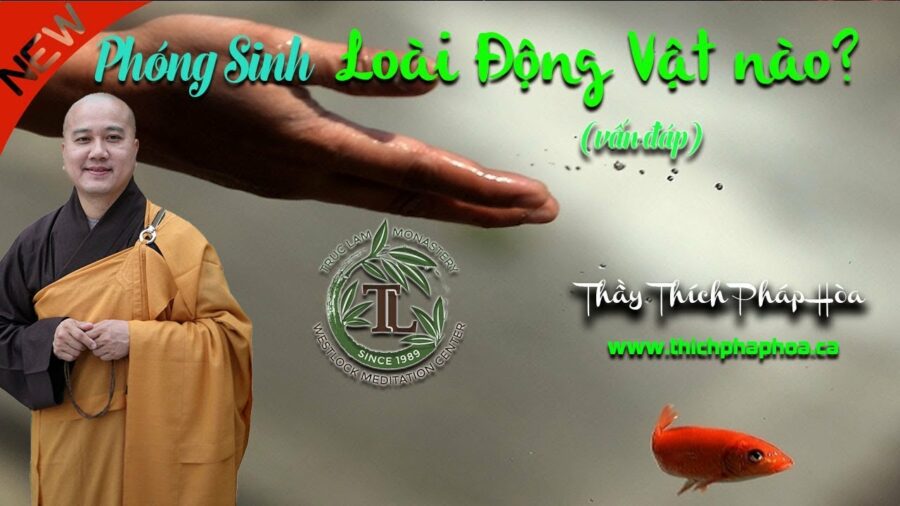Phóng Sinh Loài Động Vật nào tốt? - ĐĐ. Thích Pháp Hòa