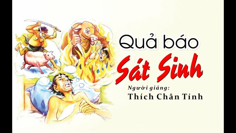 Quả báo sát sinh – Thầy Thích Chân Tính