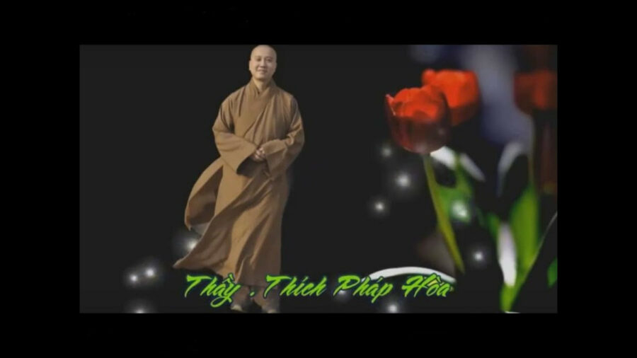 Quán Chiếu Để Tiến Tu – Đại Đức Thích Pháp Hòa