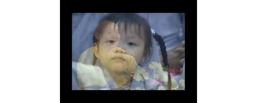 Quán Sát Âm Thanh – Thích Chân Tính